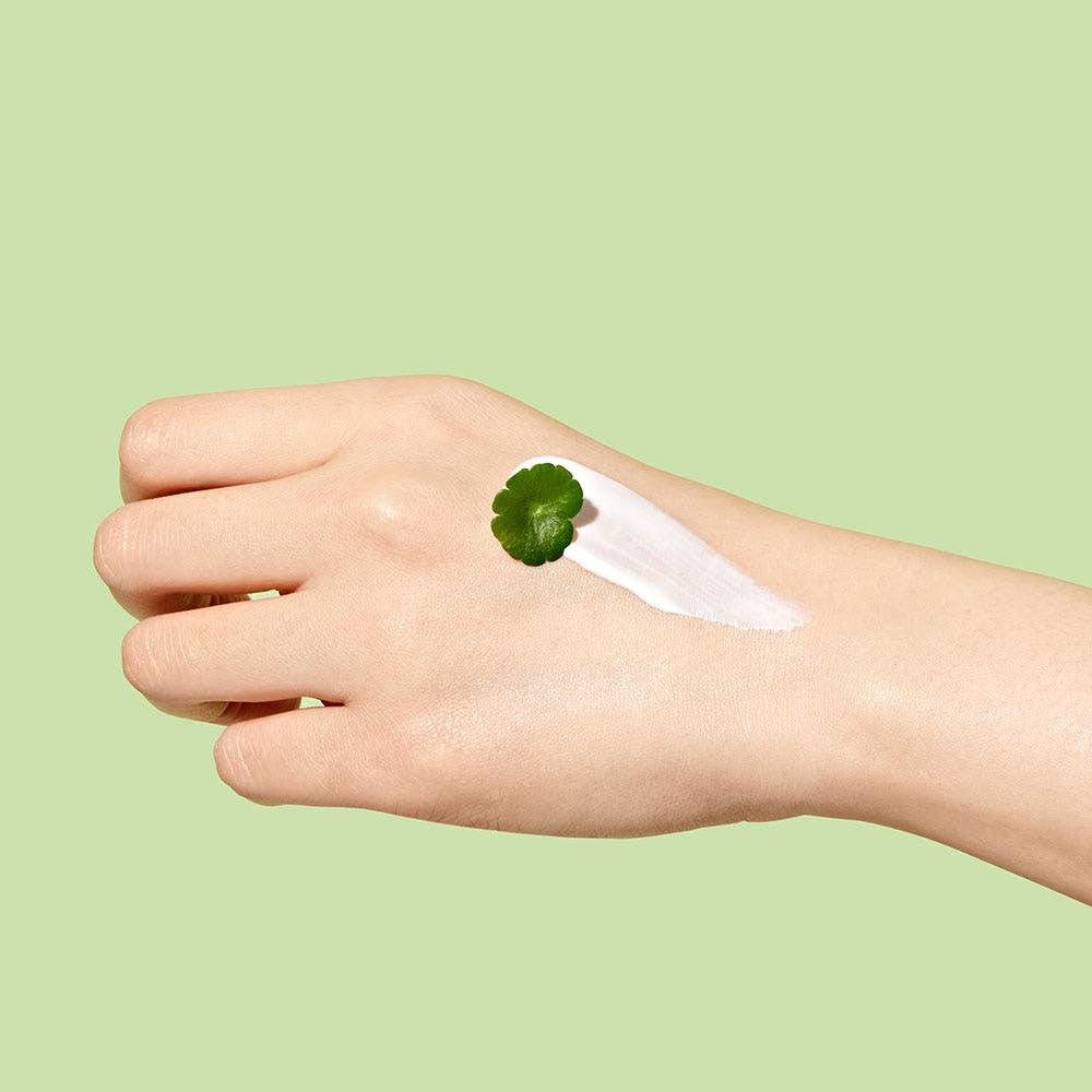 Dr.Ceuracle Cica Regen Waterproof Sun SPF50+ PA++++ 100ml (Sun Cream)