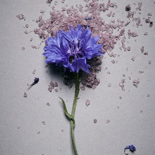 AROMATICA Serene Bath Salts Lavender & Marjoram 50g 50 g