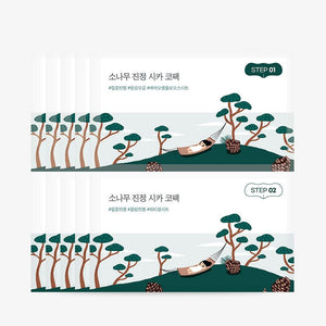 Round Lab Pine Tree Soothing Cica Biocellulose Nose Pack 2-Step Kit (1Step 4ml x 5ea / 2Step 4ml x 5ea), image 2