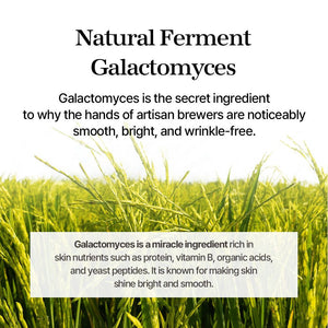 mixsoon Premium Galactomyces Cream 50ml, image 5